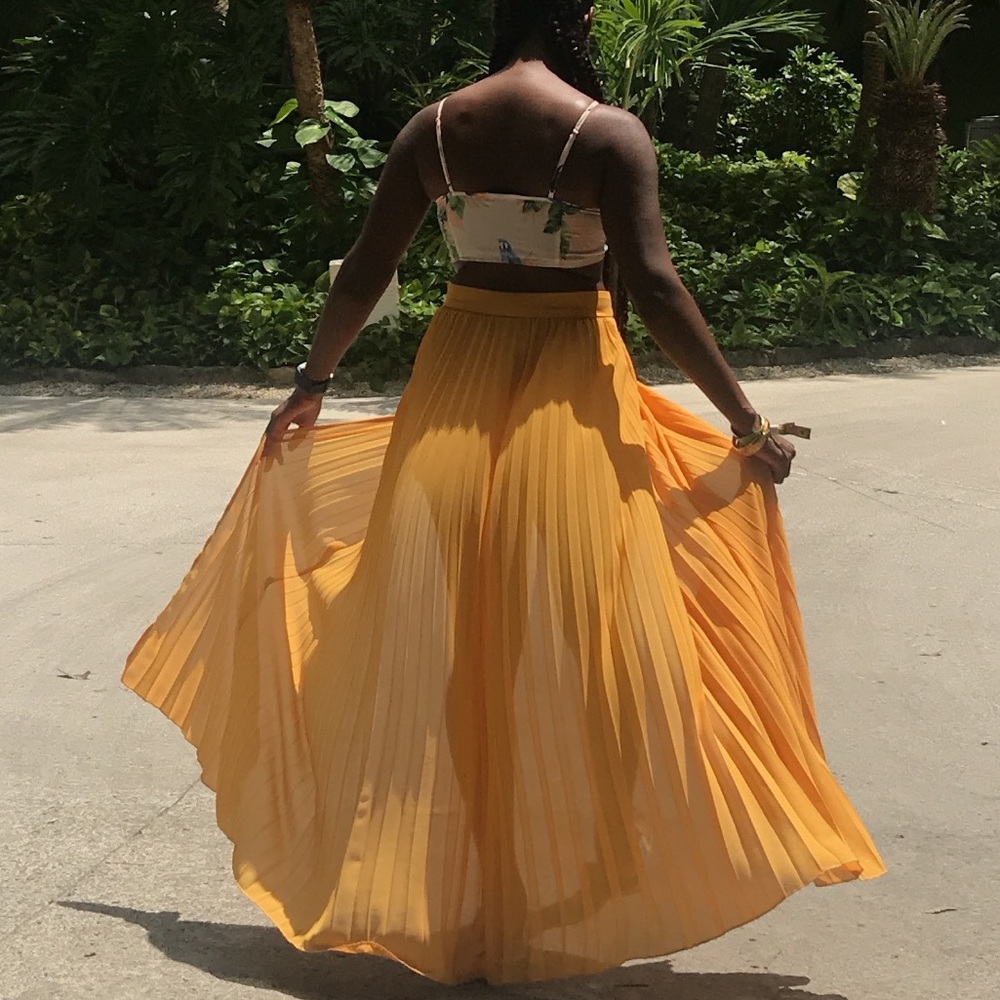 Pleated sheer high waisted skirt - Picture 3 of 11